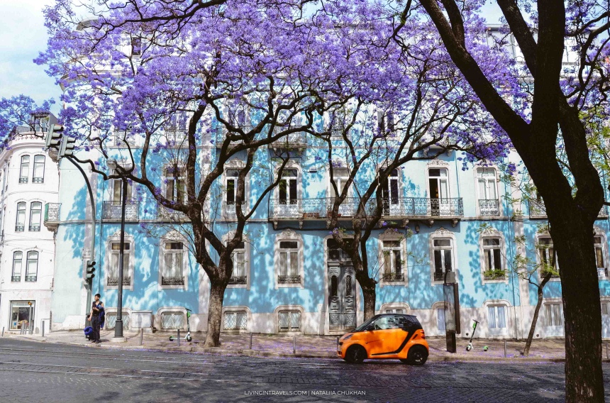 10 вещей, которые НЕ надо делать в Лиссабоне (38)