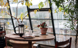 Согласно исследованию, миллениалы тратят в кафе в 3 раза больше их родителей