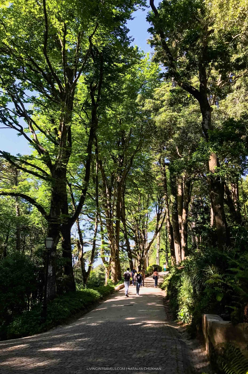 Из Лиссабона в Синтру: как добраться и что посмотреть (9)