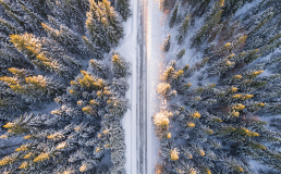 На границе России и Норвегии откроется природный парк