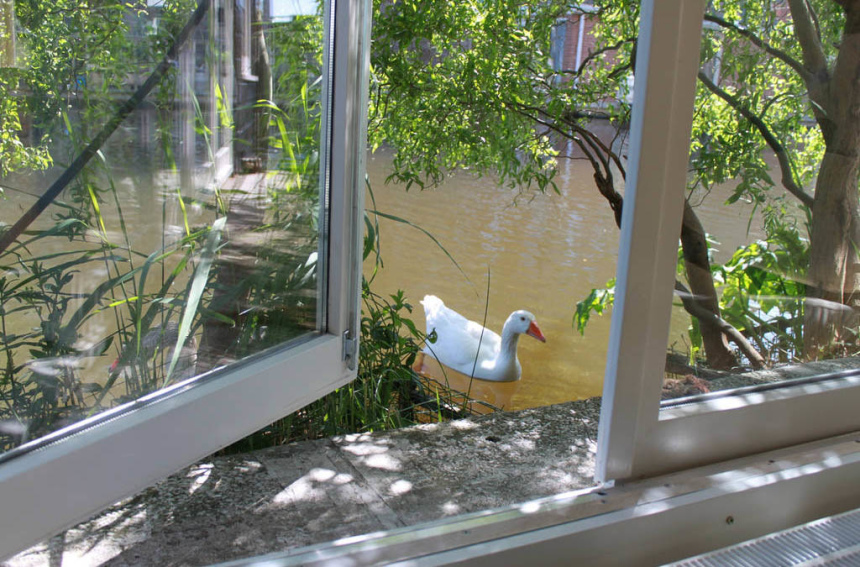 14 самых необычных предложений жилья на Airbnb (39)