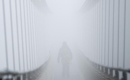 В горах Германии построили самый длинный пешеходный мост