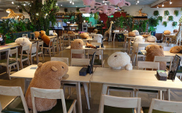 Зоопарк в Японии придумал способ для дистанцирования людей