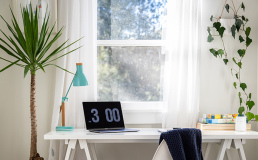 Жителям Новой Зеландии предлагают перейти на 4-дневную рабочую неделю