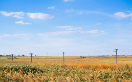 Укрзалізниця записала ASMR-видео со звуками движущегося поезда