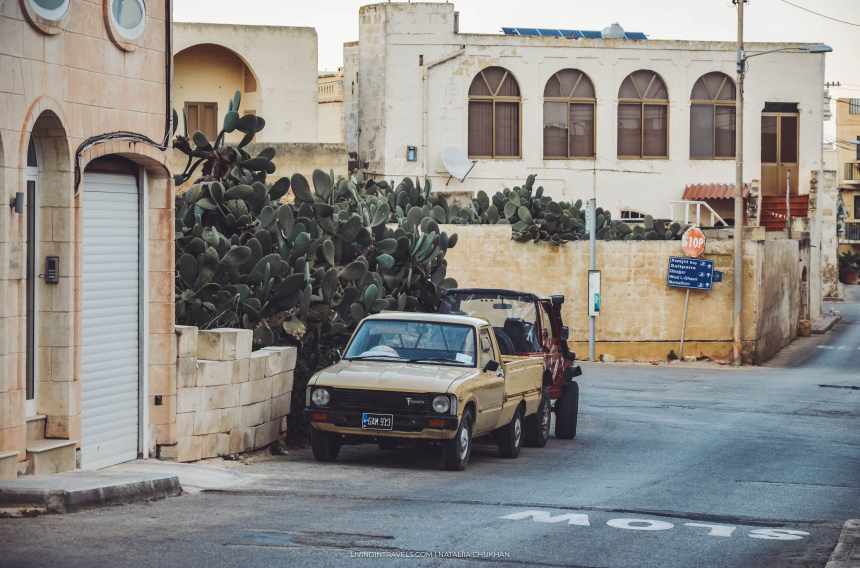 Какие вкусности и полезности привезти с Мальты (4)