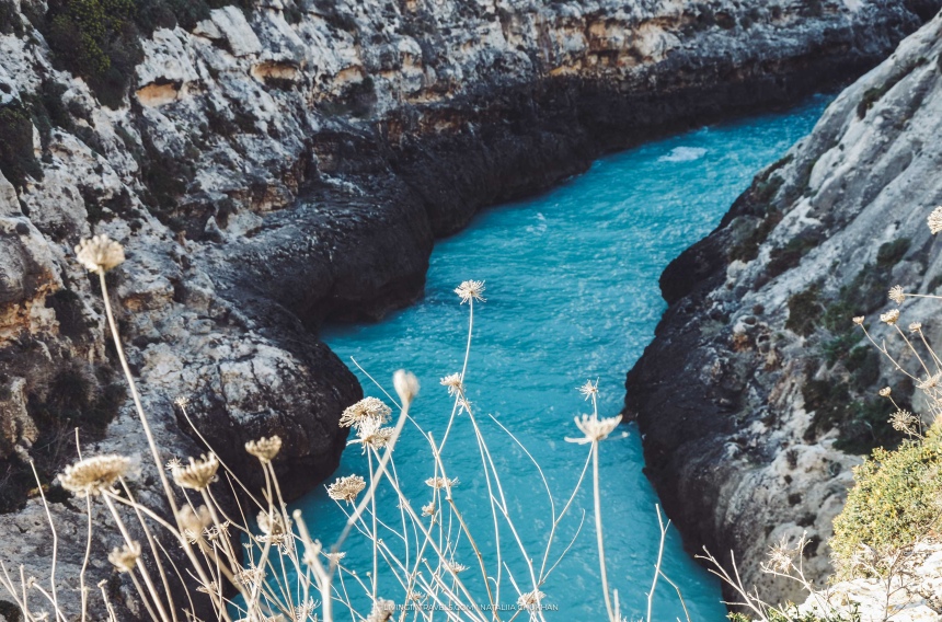 Какие вкусности и полезности привезти с Мальты (15)