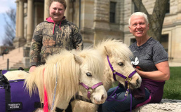 В аэропорту США лошади помогают пассажирам бороться со стрессом