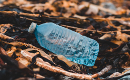 Нидерланды будут строить дороги из переработанного пластика в 2021 году