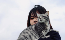 Японская гостиница предлагает гостям переночевать с кошкой-компаньоном