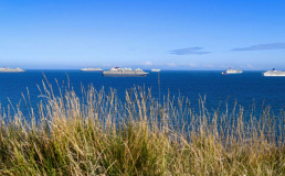 Пустые круизные лайнеры стали новой достопримечательностью Великобритании