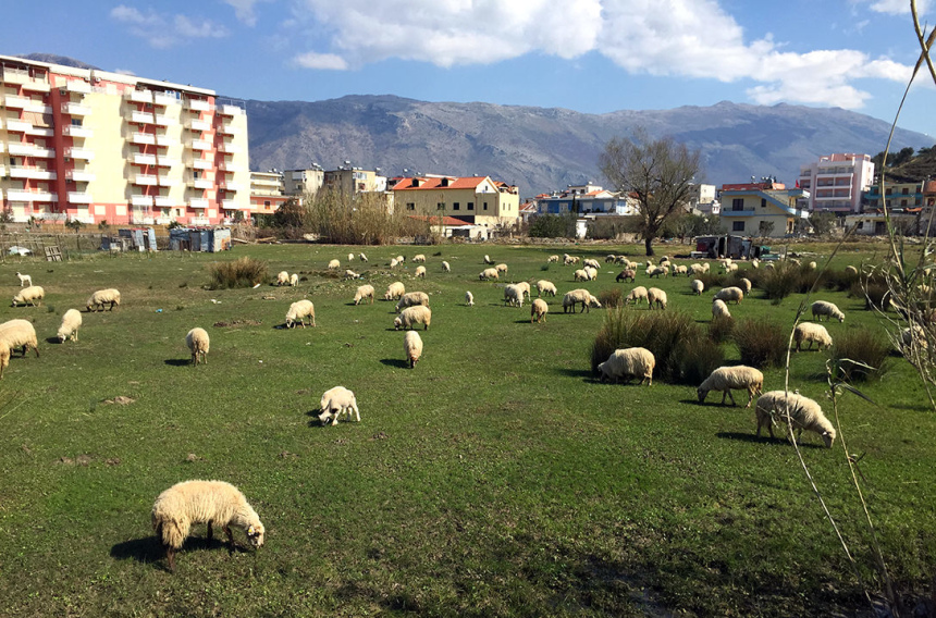 Путешествие по Албании: что посмотреть во Влёре и окрестностях (16)