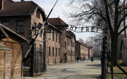 Внучка жертвы Холокоста призналась в краже экспонатов музея Освенцима