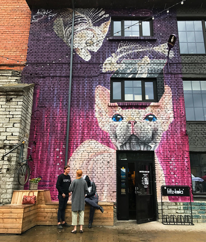 Путешествие в Эстонию: ожидания и реальность (4)