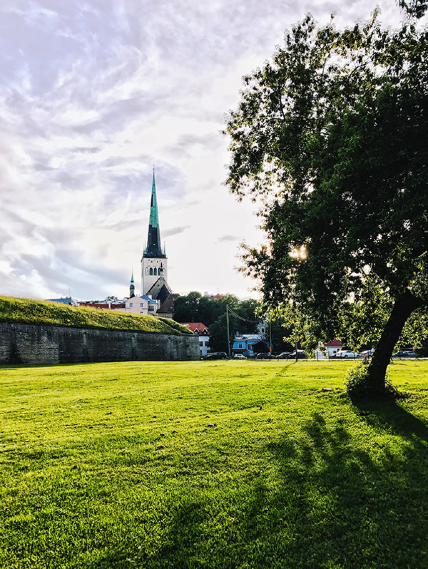 Путешествие в Эстонию: ожидания и реальность (6)