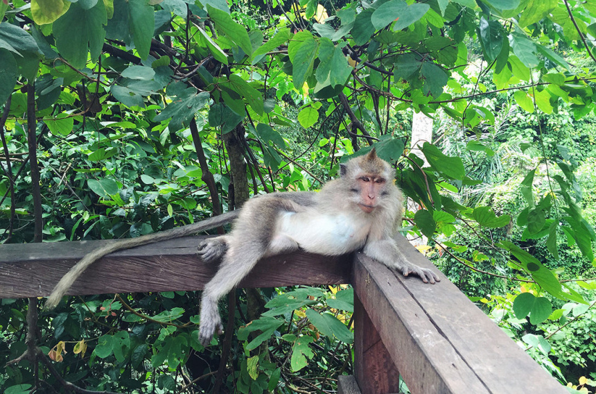 Балийская история. Живи. Наслаждайся. Фотографируй (14)
