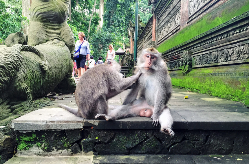 Балийская история. Живи. Наслаждайся. Фотографируй (16)