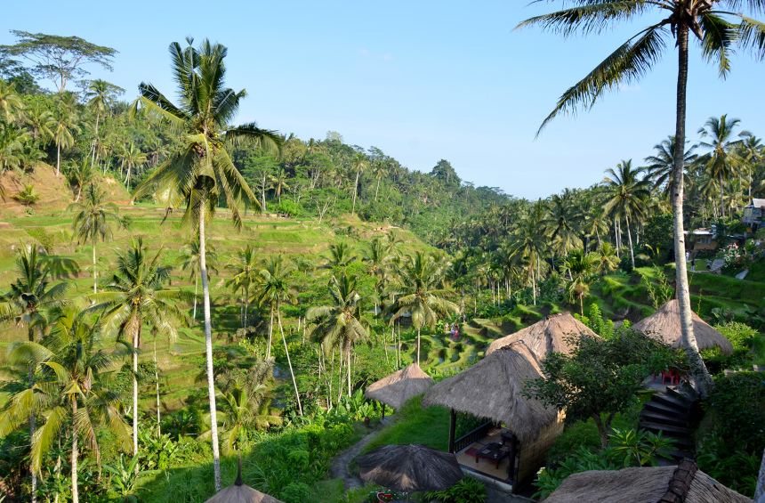 Балийская история. Живи. Наслаждайся. Фотографируй (18)