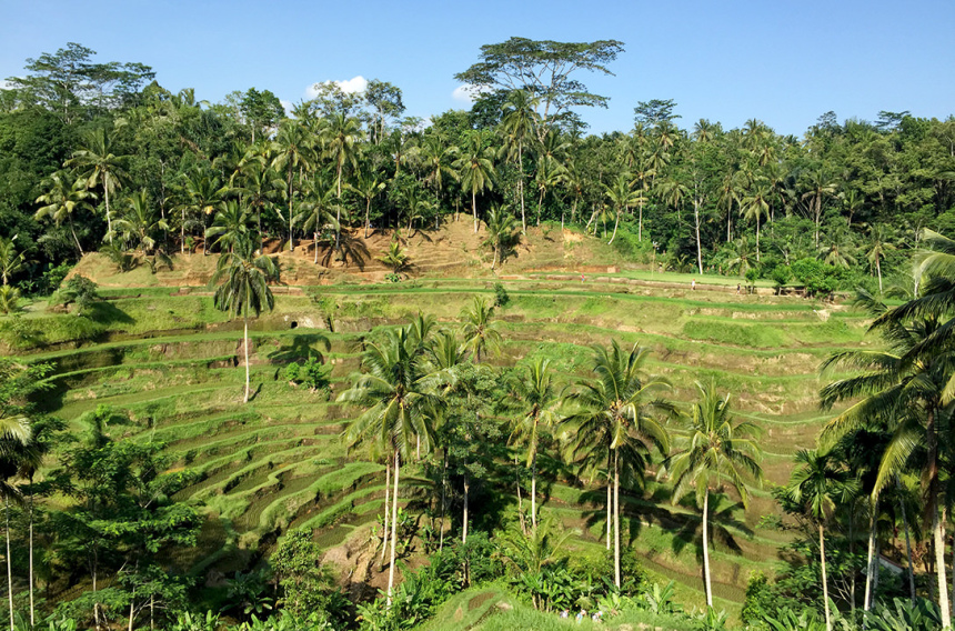Балийская история. Живи. Наслаждайся. Фотографируй (17)