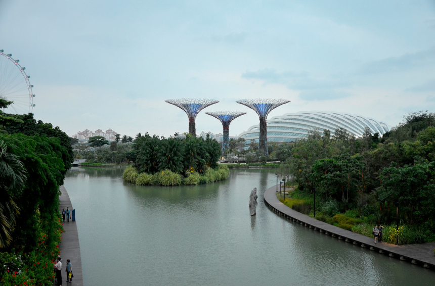 Город льва Сингапур: что надо знать и посмотреть (10)