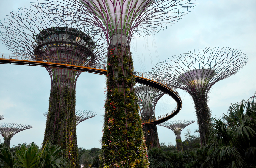 Город льва Сингапур: что надо знать и посмотреть (11)