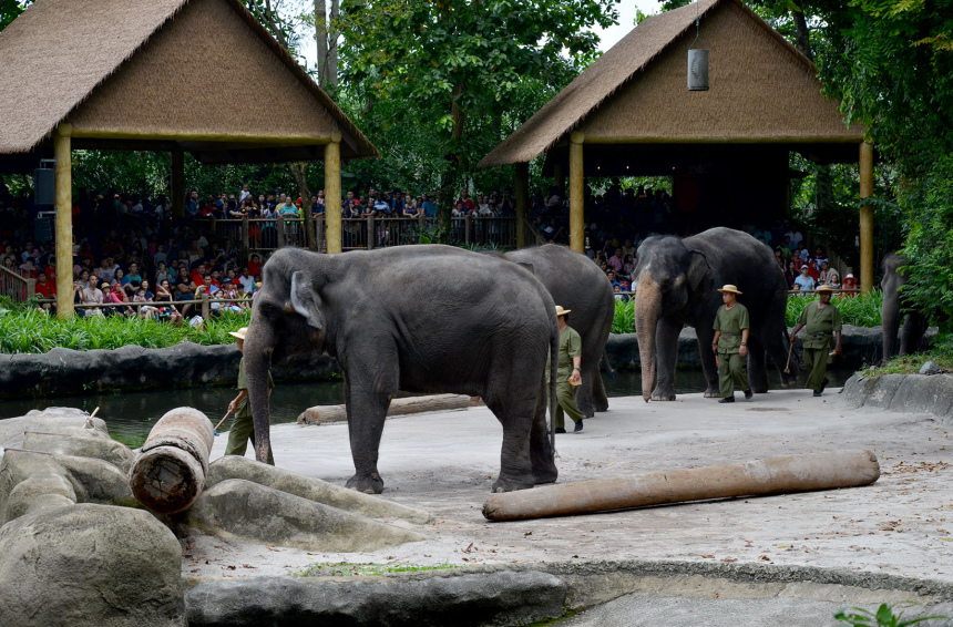 Город льва Сингапур: что надо знать и посмотреть (13)
