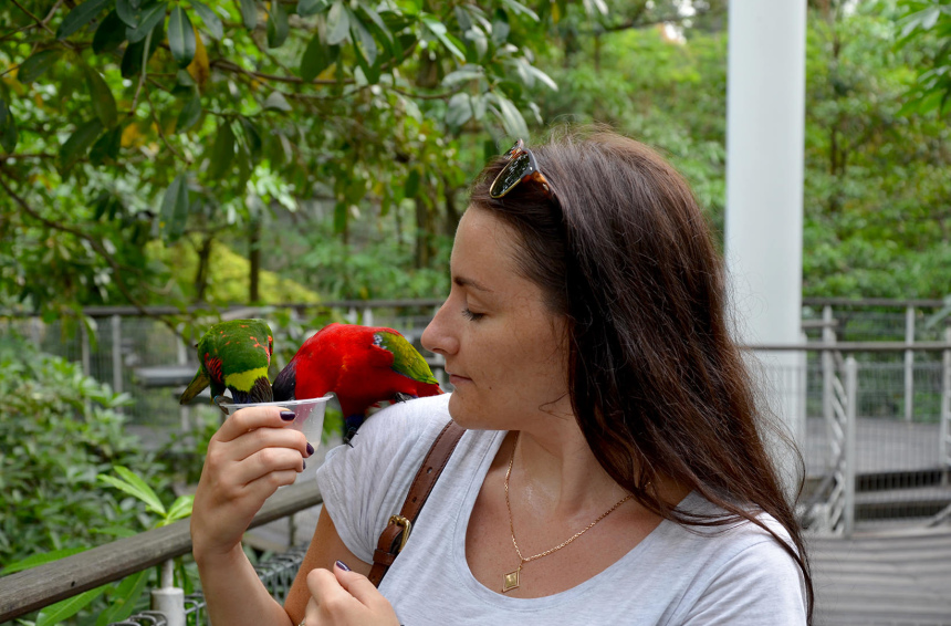 Город льва Сингапур: что надо знать и посмотреть (16)