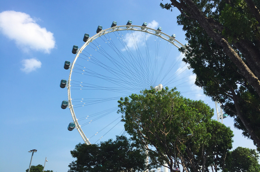 Город льва Сингапур: что надо знать и посмотреть (22)