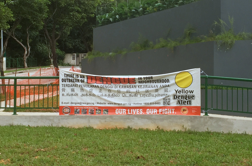 Город льва Сингапур: что надо знать и посмотреть (25)