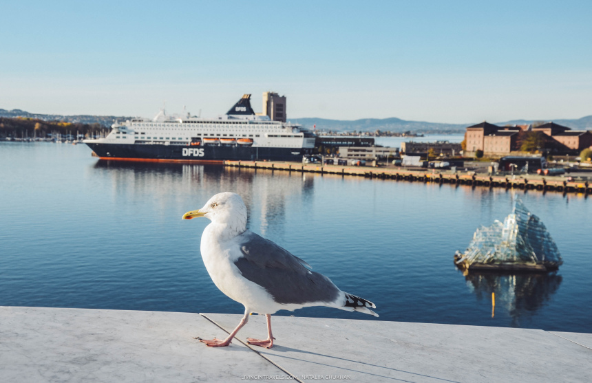 Норвегия: что посмотреть в Осло за 2 дня (1)