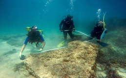Возле Туниса археологи обнаружили руины затонувшего древнеримского города