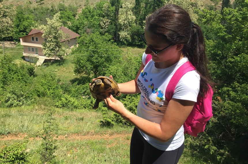 Македония: что посмотреть в Охриде и окрестностях (29)