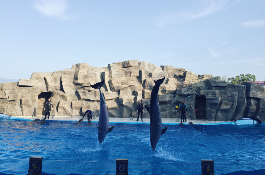 Гамарджоба, любимая Грузия! (19)