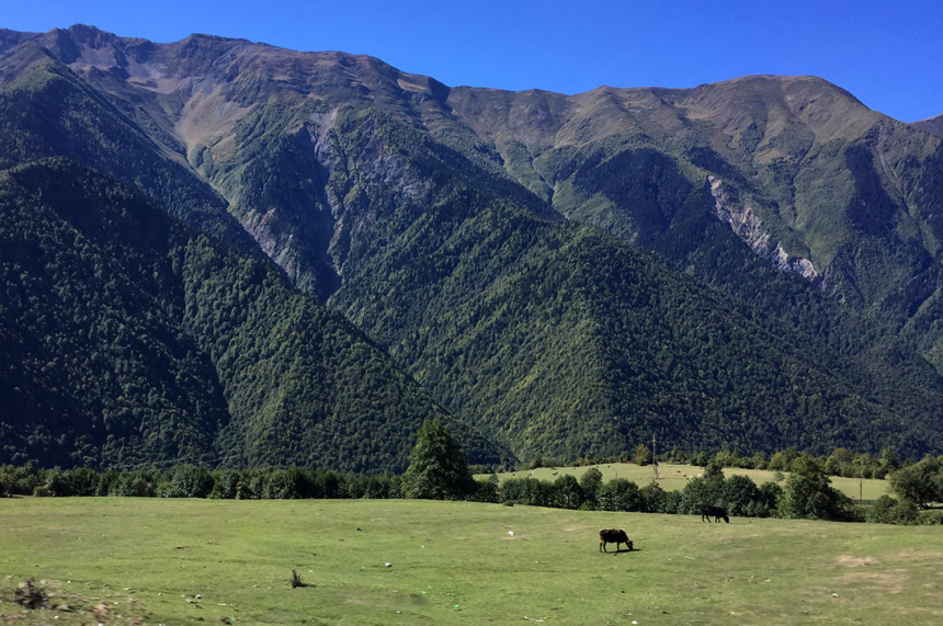 Гамарджоба, любимая Грузия! (29)