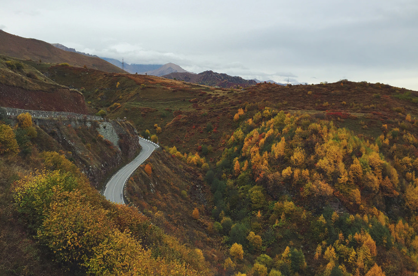 Гамарджоба, любимая Грузия! (48)