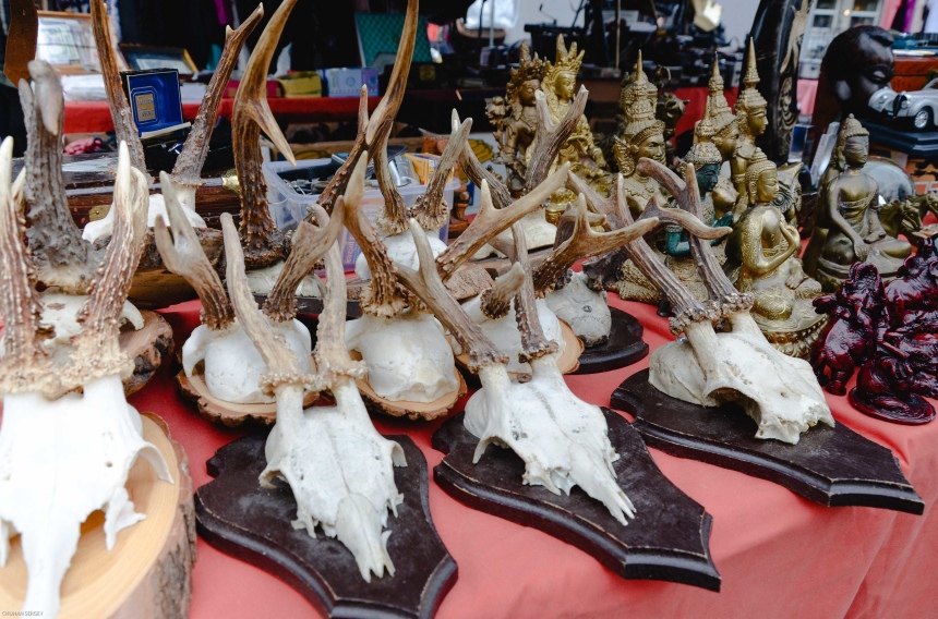 Канцлай или блошиный рынок Цюриха (3)