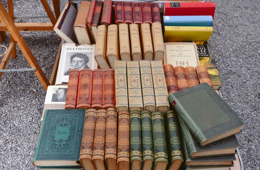 Канцлай или блошиный рынок Цюриха (8)