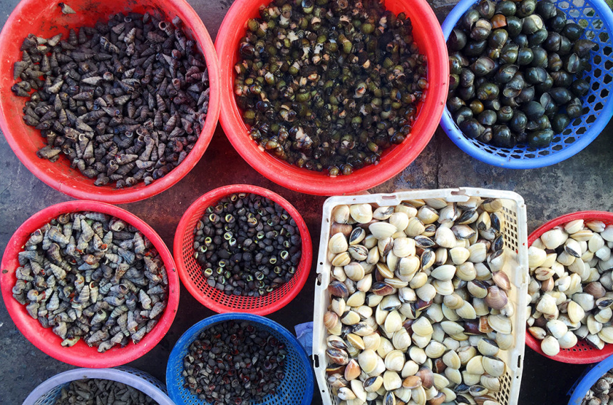 Вьетнам или страна бешеных байков (21)