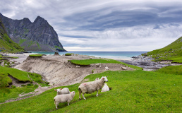 Составлен список альтернативных направлений для летнего отпуска