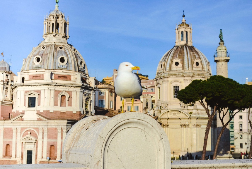 Рим для новичков или как увидеть город бесплатно (почти) (17)