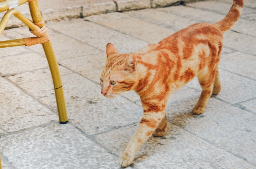 Только 6 причин увидеть Иерусалим своими глазами (14)