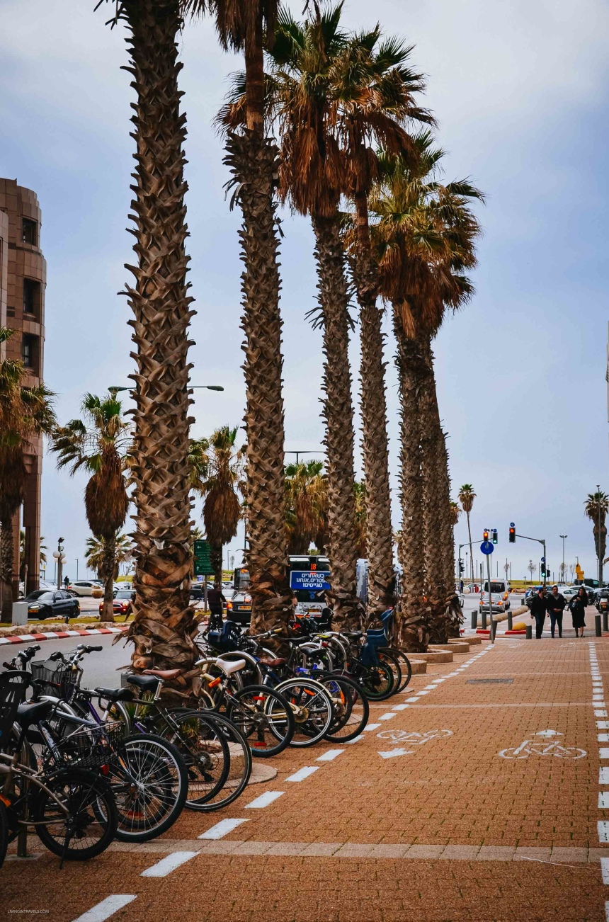 12 поводов полюбить самый хипстерский город Израиля Тель-Авив (8)