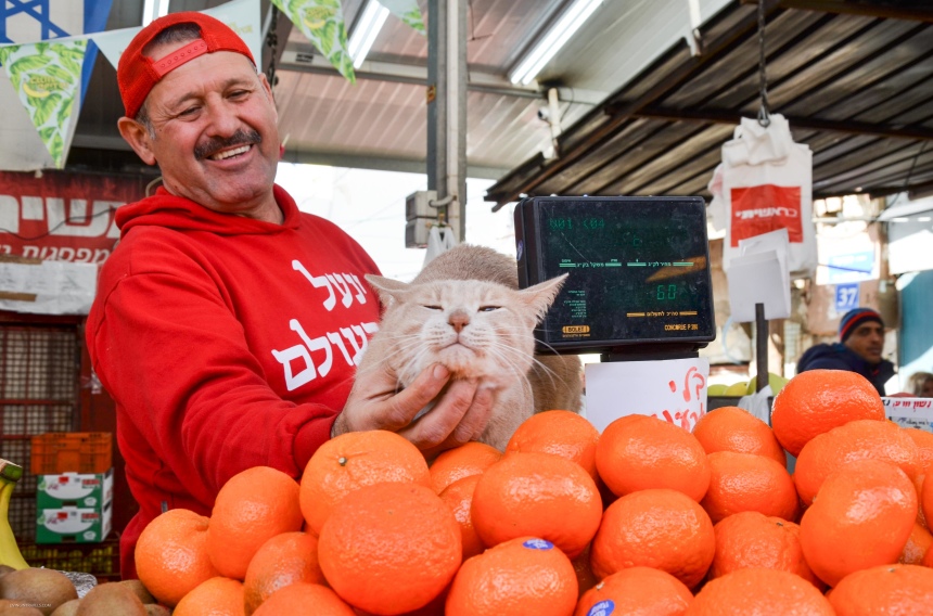 12 поводов полюбить самый хипстерский город Израиля Тель-Авив (10)