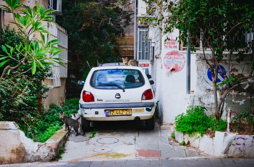 12 поводов полюбить самый хипстерский город Израиля Тель-Авив (13)