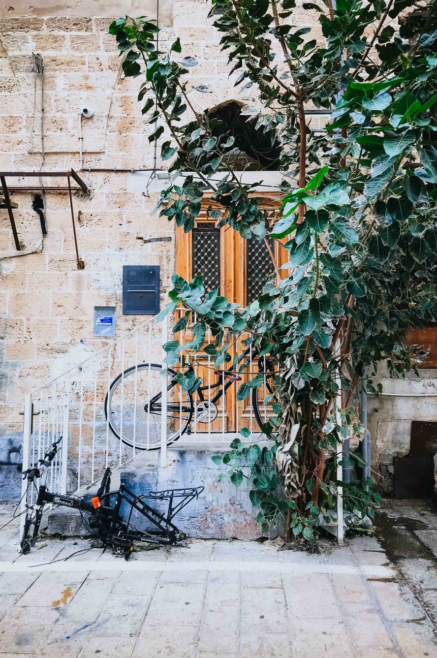 12 поводов полюбить самый хипстерский город Израиля Тель-Авив (14)